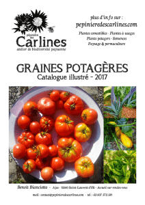 GRAINES POTAGÈRES - Pépinière des Carlines