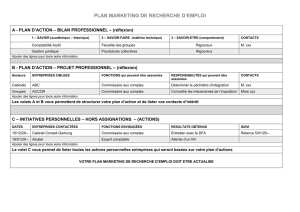 Plan Marketing de Recherche d`Emploi (PMRE)