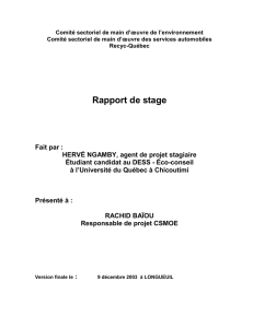 Rapport de stage - CSMO-Auto