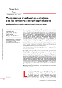 Mécanismes d`activation cellulaire par les anticorps