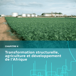 Transformation structurelle, agriculture et développement de l`Afrique