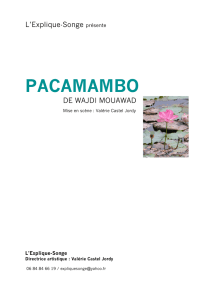 pacamambo - Agence SINE QUA NON