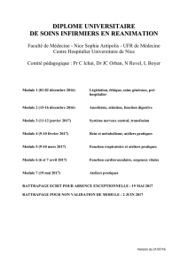DIPLOME UNIVERSITAIRE DE SOINS INFIRMIERS EN