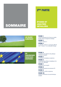 SOMMAIRE - Union Française de l`Électricité