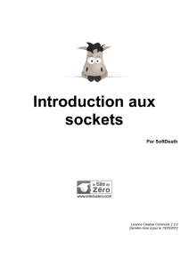 Introduction aux sockets