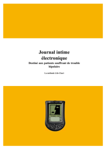 Journal intime électronique