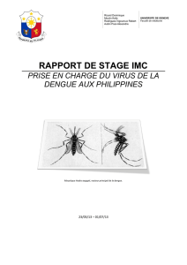 RAPPORT DE STAGE IMC