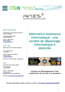 Monographie Alternative Assistance Informatique