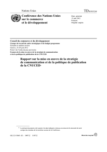 Rapport sur la mise en oeuvre de la stratégie de