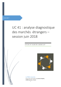 UC 41 : analyse diagnostique des marchés étrangers