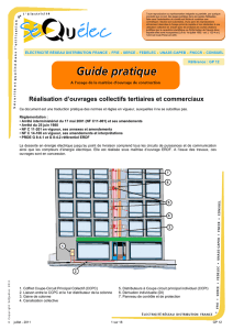 Guide pratique GP12 Réalisation d`ouvrages collectifs