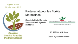 Contribution du Crédit Agricole du Maroc