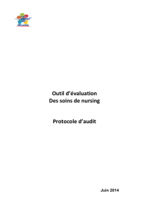 Protocole audit nursing 2014 ARLIN Lorraine