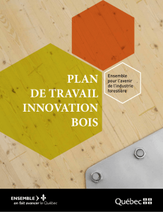 Plan de travail Innovation Bois - Ministère des Forêts, de la Faune et