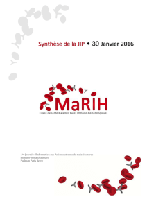 Livret de synthèse JIP 300116