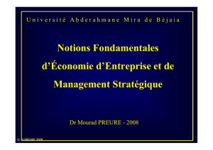 Cours Management Stratégique Bejaia 08