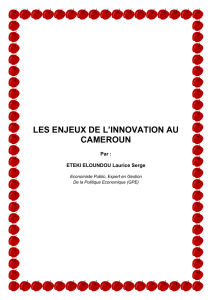 LES ENJEUX DE L`INNOVATION AU CAMEROUN