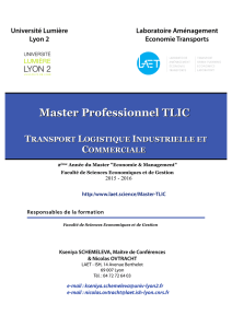 Master Professionnel TLIC TRANSPORT LOGISTIQUE