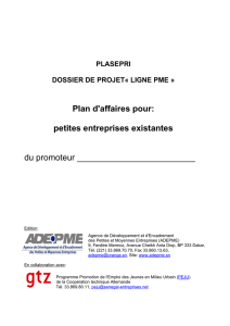 Plan d`affaires pour - Fair Enterprise au Sénégal