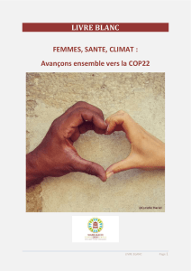 un Livre blanc Femme, Santé, Climat