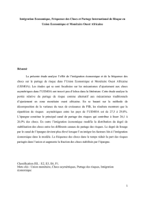 Intégration Economique, Fréquence des Chocs et Partage