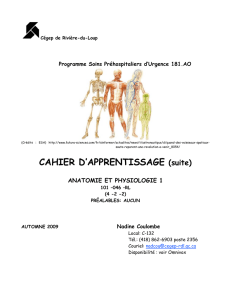 CAHIER D`APPRENTISSAGE (suite) - Cégep de Rivière-du-Loup