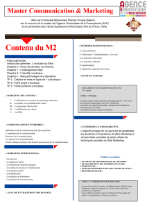 PDF 172 ko Plaquette du programme M2 CM - FOAD