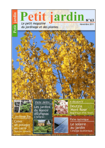 Magazine Petit Jardin - Graines-et