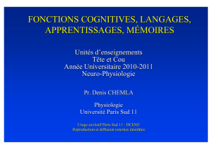 fonctions cognitives, langages, apprentissages, m&eacute;moires