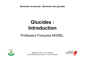 Glucides : Introduction