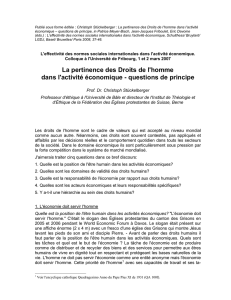 La pertinence des Droits de l`homme dans l`activit&eacute; &eacute;conomique