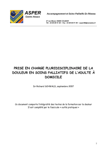Prise en charge pluridisciplinaire de la douleur en soins palliatifs de