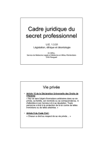 secret professionnel grill