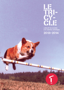 2013-2014 - Le Tricycle – Grenoble