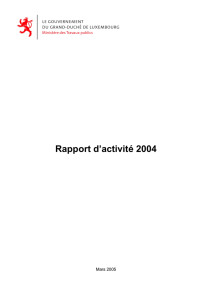 Rapport d`activité 2004