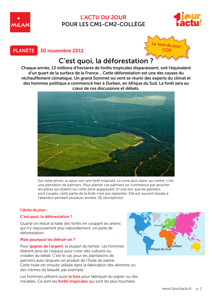 dissertation sur la deforestation