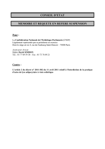 CNEP RS - Blog Avocats