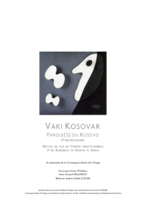 Dossier artistique - Vaki Kosovar