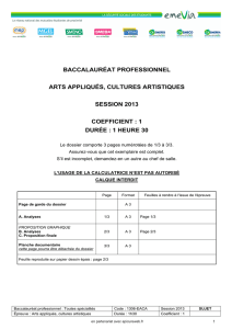 Corrigé BAC 2013 - Arts appliqués - cultures artistiques - Pro - Izi-Bac