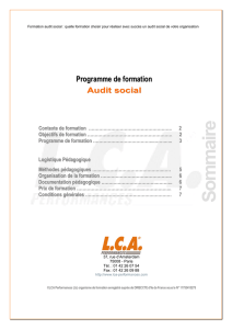 Formation audit social