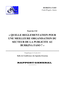 Rapport général du panel - Faso-TIC