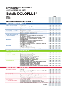 3.2.1 Echelle modèle doloplus 2