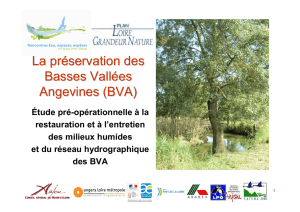 La préservation des Basses Vallées Angevines (BVA)