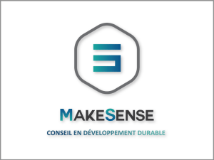 profil complet et les références de MakeSense