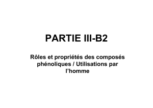 PARTIE III-B2