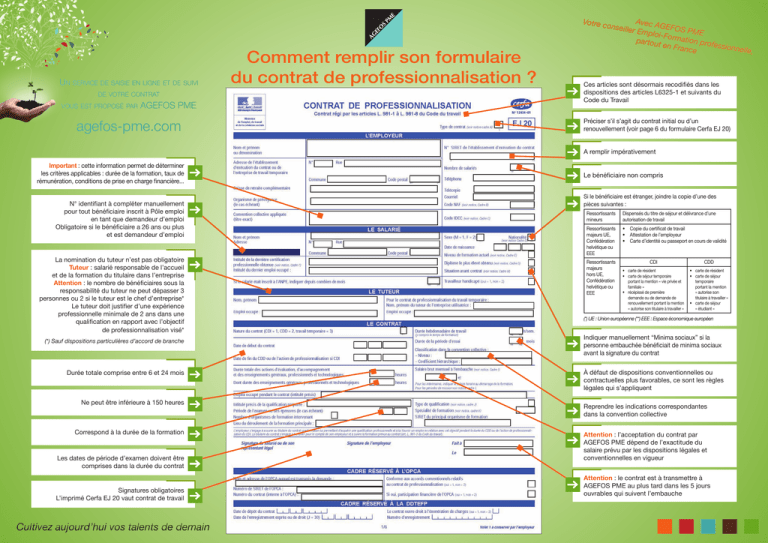 Contrat De Travail Cerfa 10103 Formulaire Contrat D Apprentissage Pdf 
