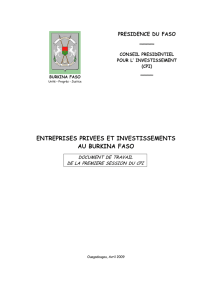 entreprises privees et investissements au burkina faso