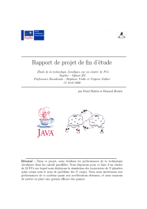 Rapport de projet de fin d`étude