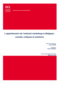 L`appréhension de l`ambush marketing en Belgique : constat