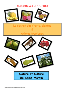 livre plantes tropicales_c